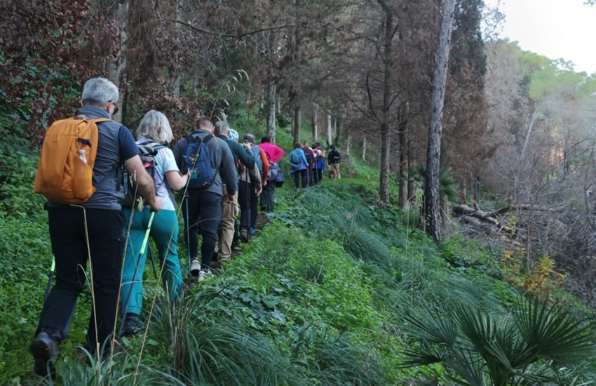 Segesta Monte Pispisa