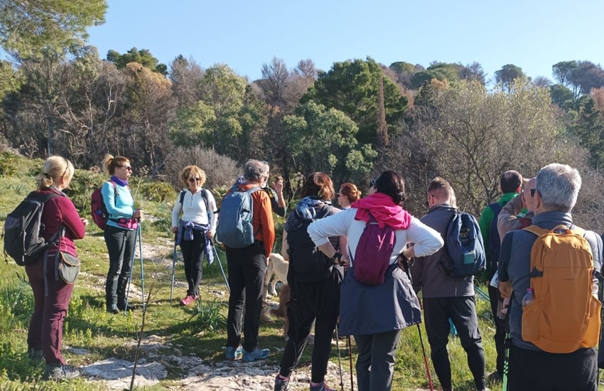 Segesta Monte Pispisa