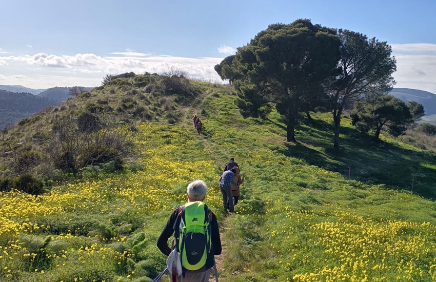 Segesta Monte Pispisa