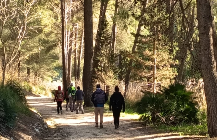 Segesta Monte Pispisa